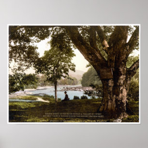 Póster Irlanda, aguacate Wicklow, poema del Encuentro de