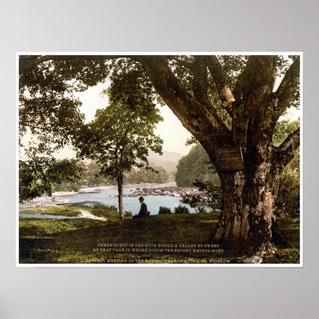 Póster Irlanda, aguacate Wicklow, poema del Encuentro de  (Frente)