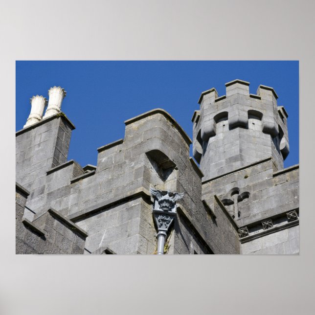 Póster Irlanda, condado de Kilkenny, castillo medieval. (Frente)
