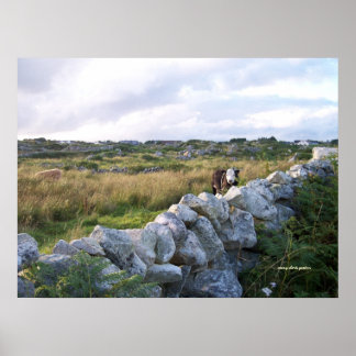 Póster Irlanda rural