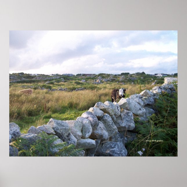 Póster Irlanda rural (Frente)