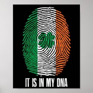 Póster Irlandés PrIde Irlanda Está En Mi ADN