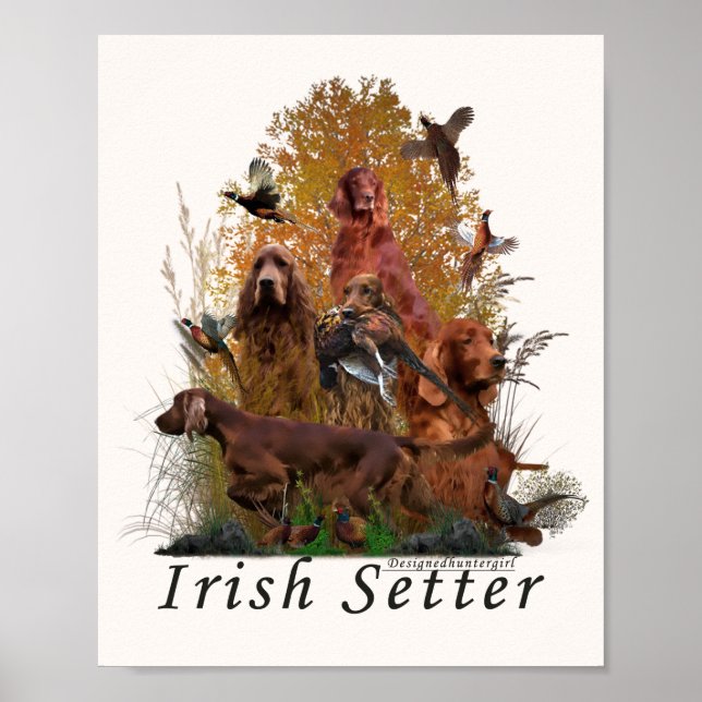 Póster Irlandés Setter (Frente)