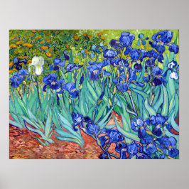 Póster Irlandeses de la vibrante flor de pintura Vincent 