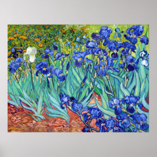 Póster Irlandeses de la vibrante flor de pintura Vincent