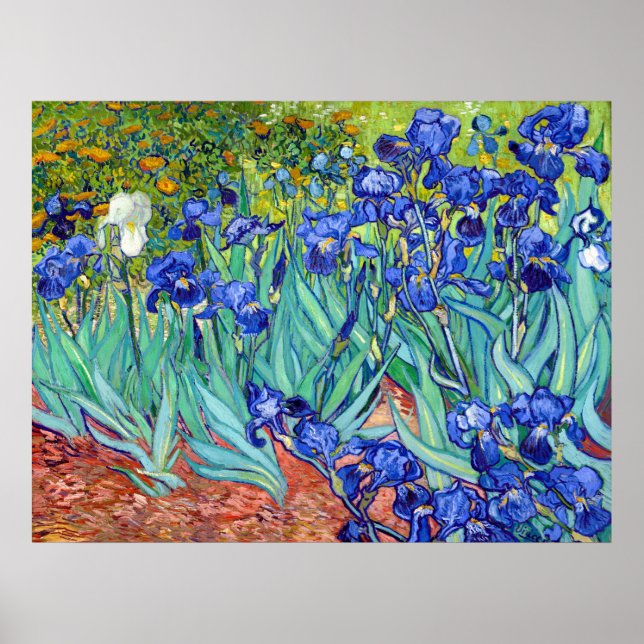 Póster Irlandeses de la vibrante flor de pintura Vincent  (Frente)