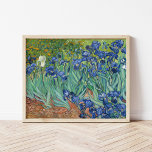 Póster Irlandeses | Vincent Van Gogh<br><div class="desc">Irises (1889) del artista holandés post-impresionista Vincent Van Gogh. El paisaje original es un óleo sobre lienzo que muestra un jardín de flores de iris florecientes. Utilice las herramientas de diseño para agregar texto personalizado o personalizar la imagen.</div>