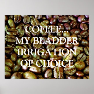 PÓSTER IRRIGACIÓN AMPLIA DE LA ELECCIÓN