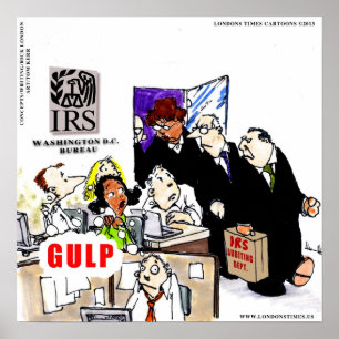 Póster IRS Audits IRS Funny Poster