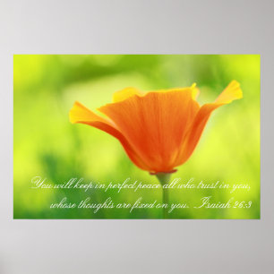 Póster Isaiah 26:3, amapola Naranja