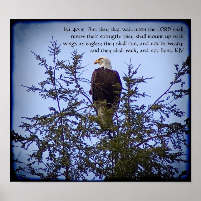 Póster Isaiah 40:31 poster (Frente)