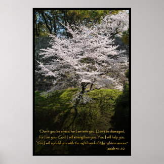 Póster Isaiah 41:10 Biblia cristiana versus Poster