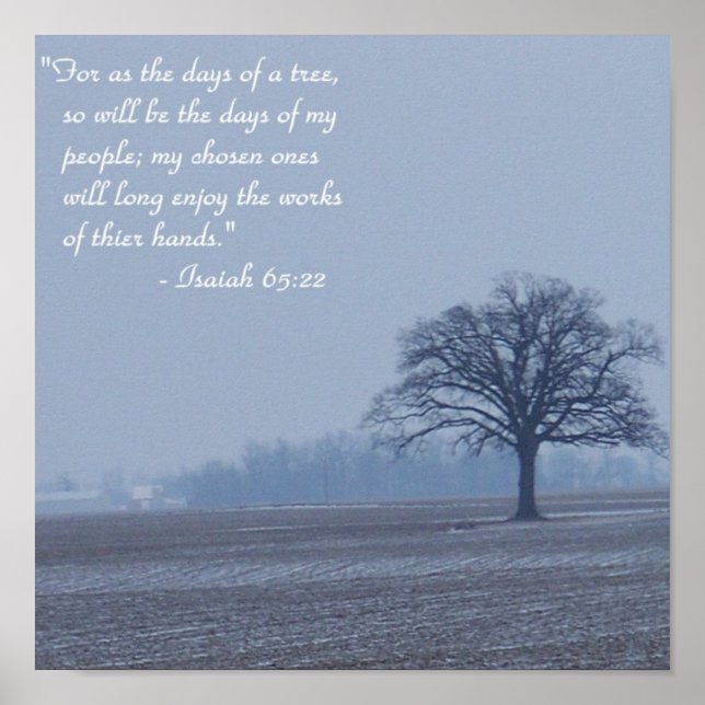 Póster Isaiah 65:22 Biblia Verse Poster (Frente)