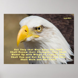 Póster Isaías 40:31 Biblia Verse Mount on Wings