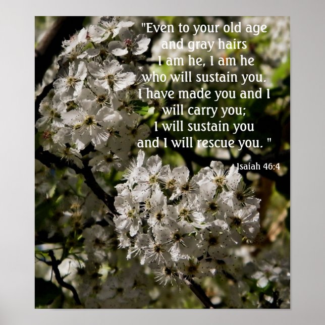 Póster Isaías 46:4 poster (Frente)