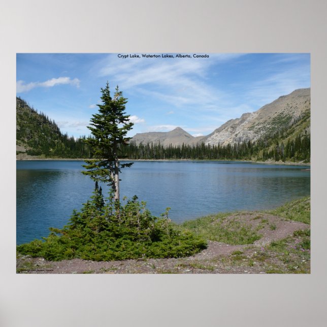 Póster Isla (Frente)