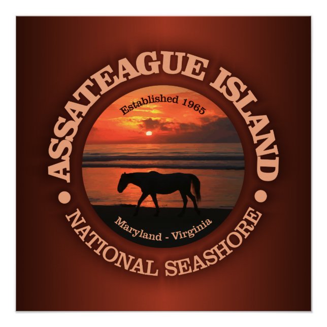 Póster Isla de Assateague Mar Nacional (Anverso)