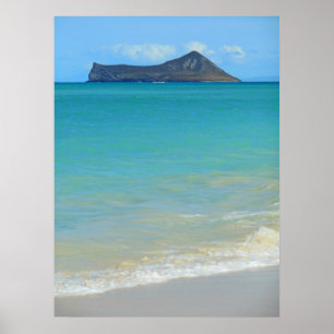 Póster Isla de Conejo