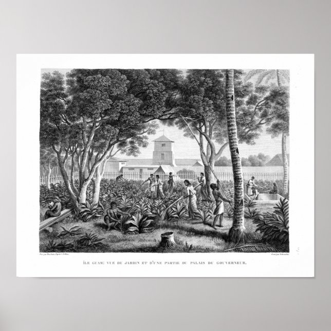 Póster Isla de Guam: Nativos trabajando en el Jardín de l (Frente)