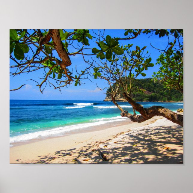 Póster Isla de Maldivas por almacenista. (Frente)