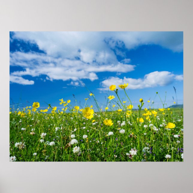 Póster isla de Sudamérica | Escocia (Frente)