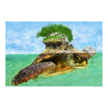 Isla de tortugas costeras