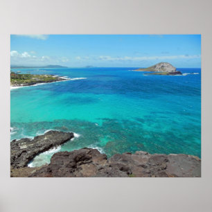 Póster Isla del conejo