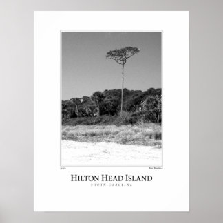 Póster Isla Hilton Head
