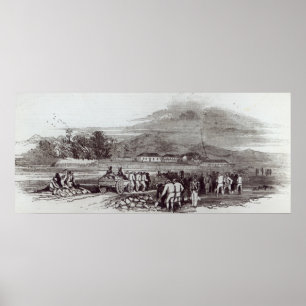 Póster Isla Norfolk