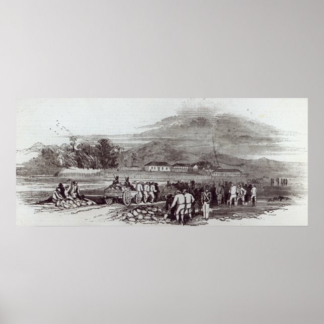 Póster Isla Norfolk (Frente)