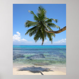 Póster Isla Palm Tree