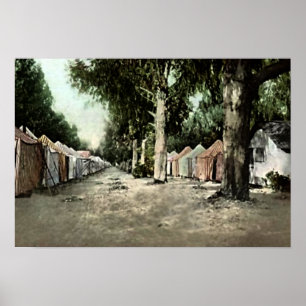 Póster Isla Santa Catalina, California