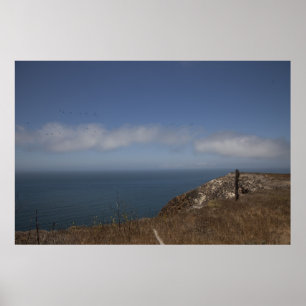 Póster Isla Santa Cruz 2