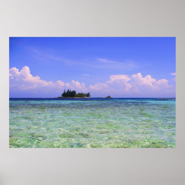 Póster Isla Solitaria (Frente)