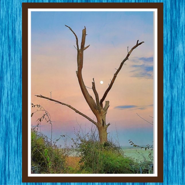 Póster Isla St. Simons Georgia Beach Sunset and Moon (Subido por el creador)