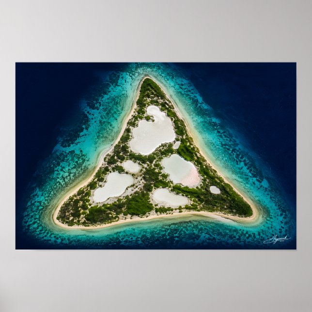 Póster Isla triangular con lagunas de sal vista satelital (Frente)