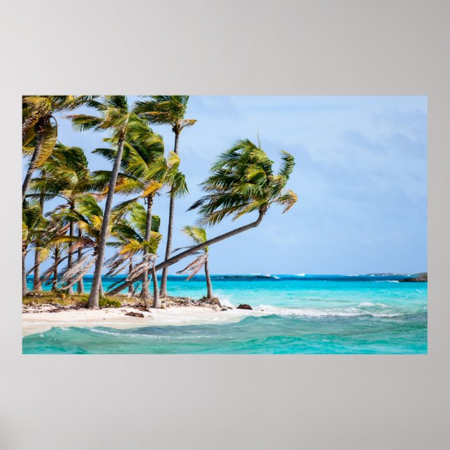 Póster Isla tropical (Frente)