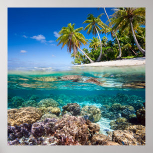 Póster Isla tropical bajo y por encima del agua
