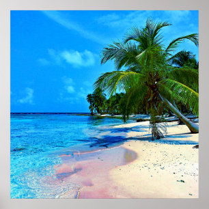 Póster Isla tropical con las palmeras y la playa de Sandy