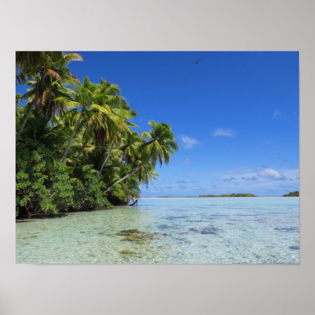 Póster Isla tropical de Rangiroa (Frente)