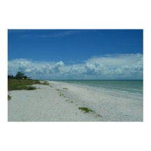 Isla Tropical Foto de Sanibel Florida
