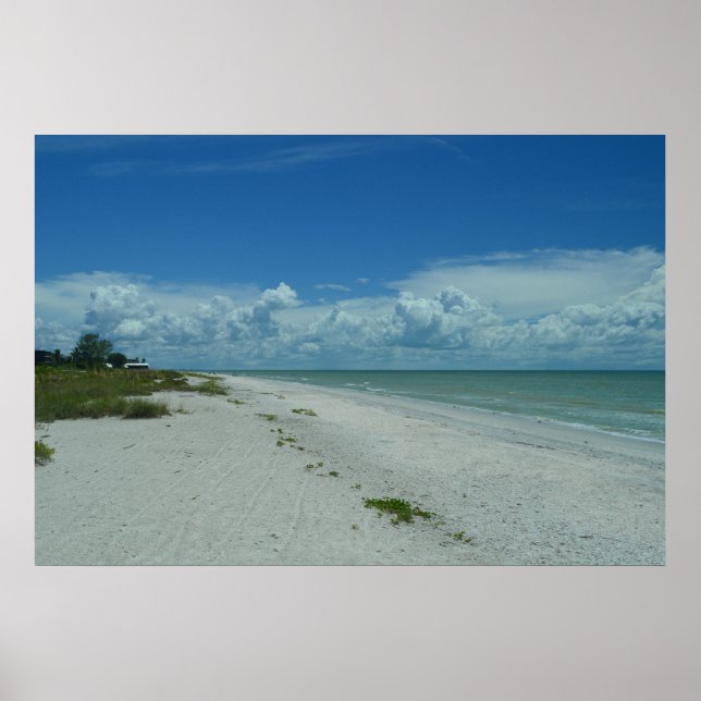 Póster Isla Tropical Foto de Sanibel Florida (Frente)