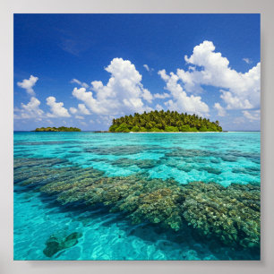 Póster Isla Tropical y Arrecife de Coral
