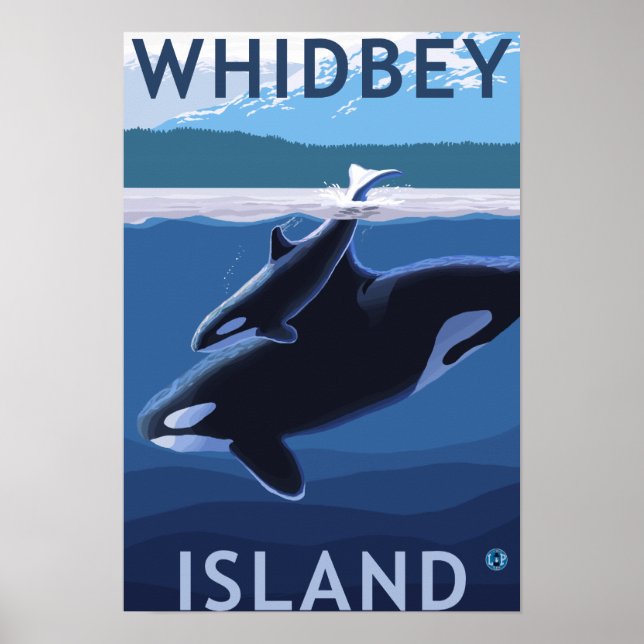 Póster Isla Whidbey, WashingtonOrca y Calf (Frente)