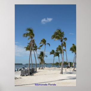 Póster Islamorada la Florida