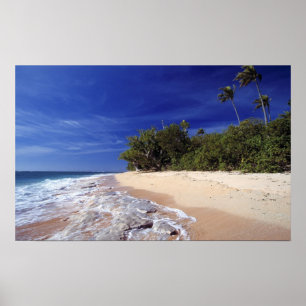 Póster Islas Fiji, Tavarua. Esta playa en Tavarua,
