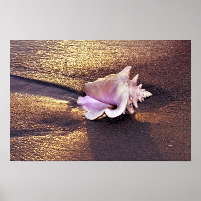 Póster Islas Fiyi, todavía hay proyectiles como este en (Frente)