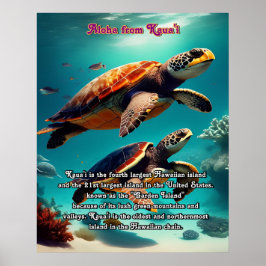 Póster Islas Hawái Kauai Aloha