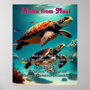 Póster Islas Hawai Maui Aloha