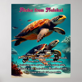 Póster Islas Hawái Molokai Aloha